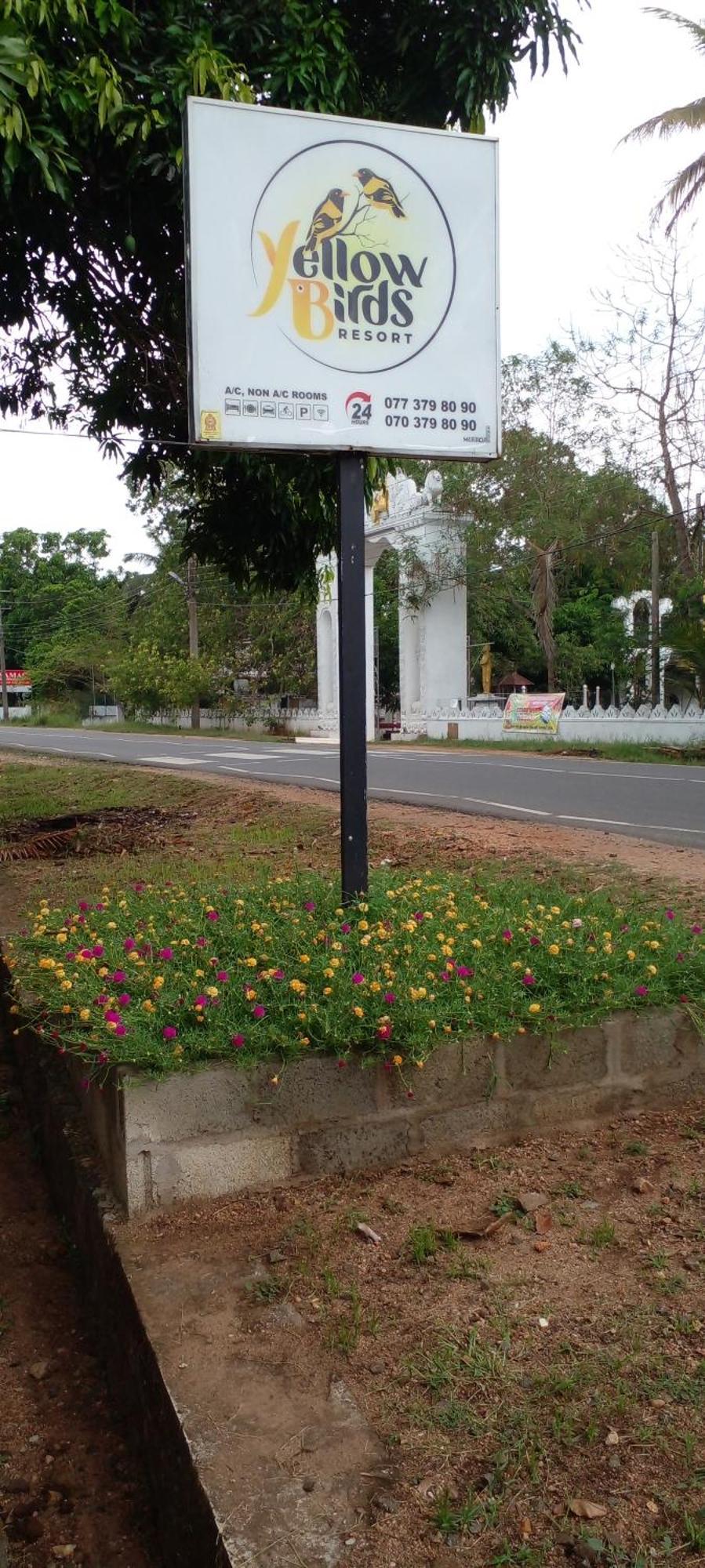 Yellow Birds Resort Anuradhapura Esterno foto