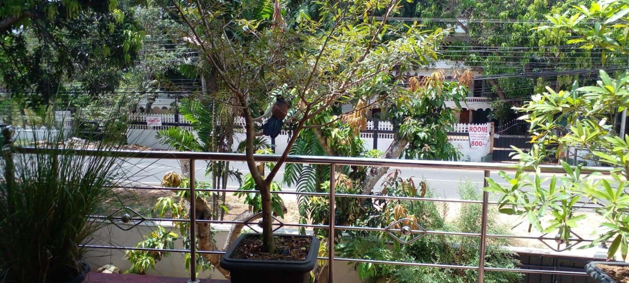 Yellow Birds Resort Anuradhapura Esterno foto